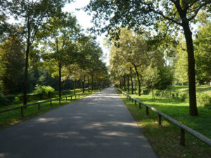 ParcoRealediMonza